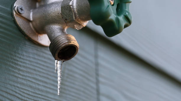 Best Clogged Drain Plumber  in Homeland, CA